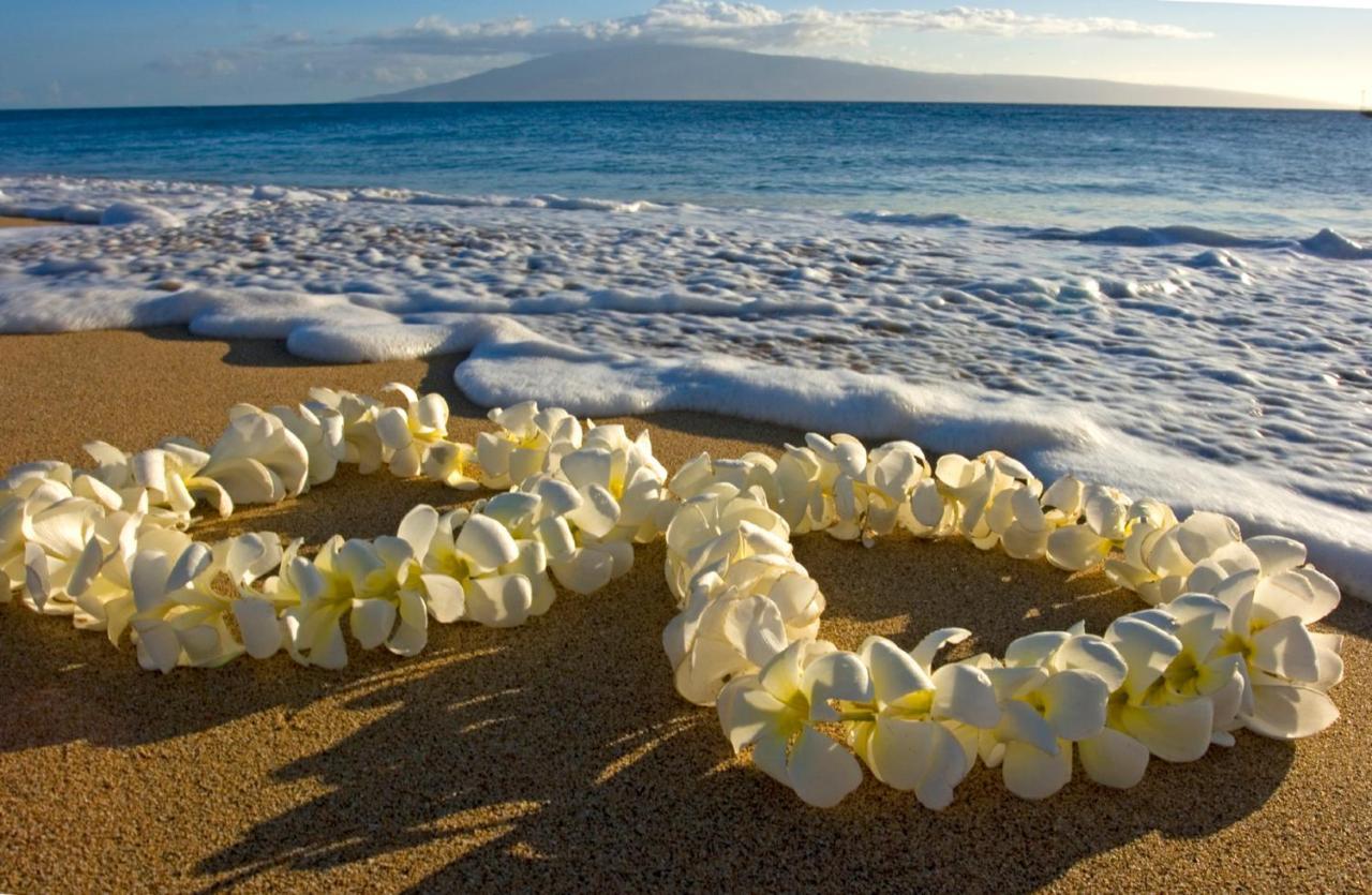 Diamond Head View Close To Waikiki Beach With Parking 호놀룰루 외부 사진