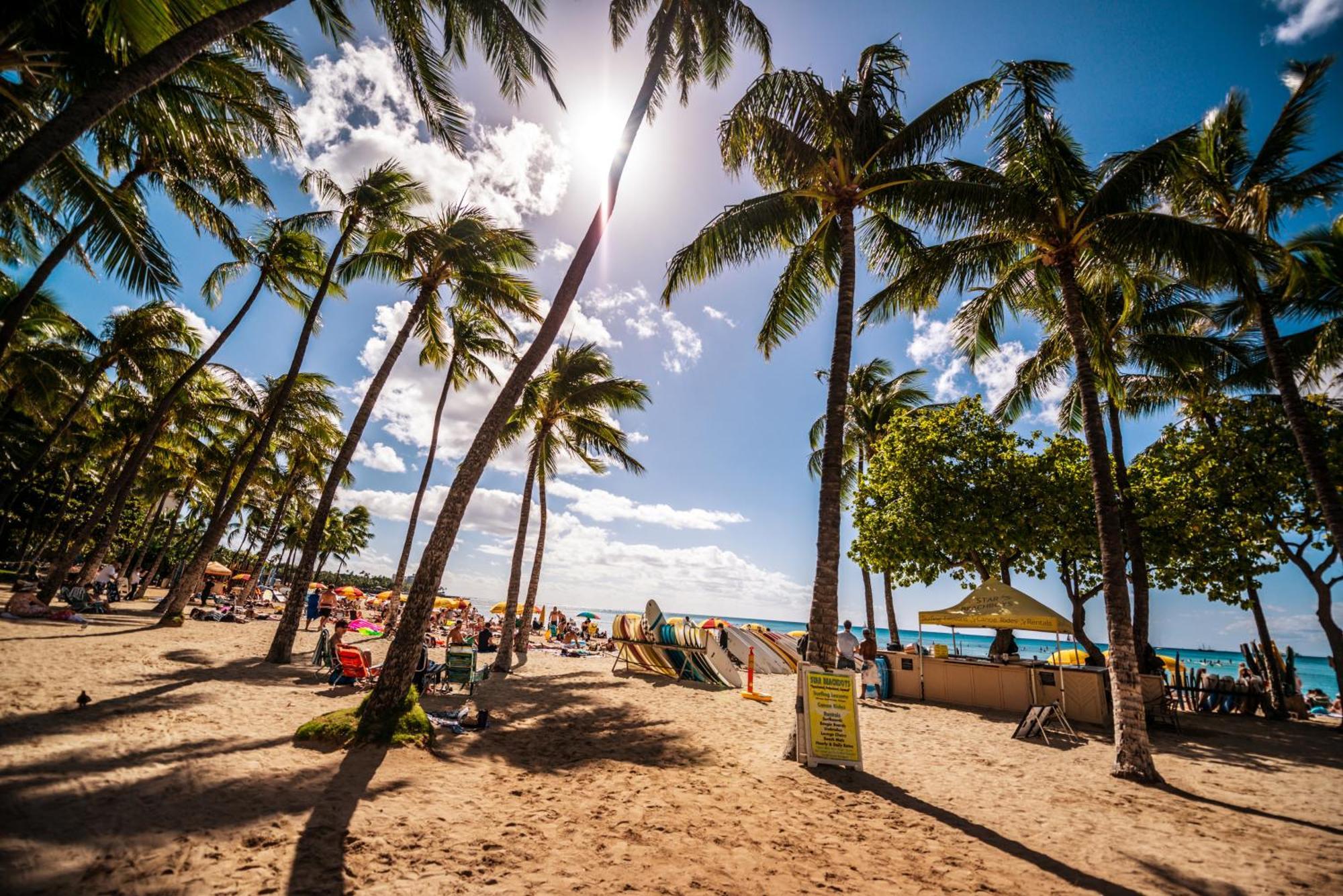 Diamond Head View Close To Waikiki Beach With Parking 호놀룰루 외부 사진
